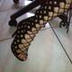 Private Photo of Ninfadelmare88